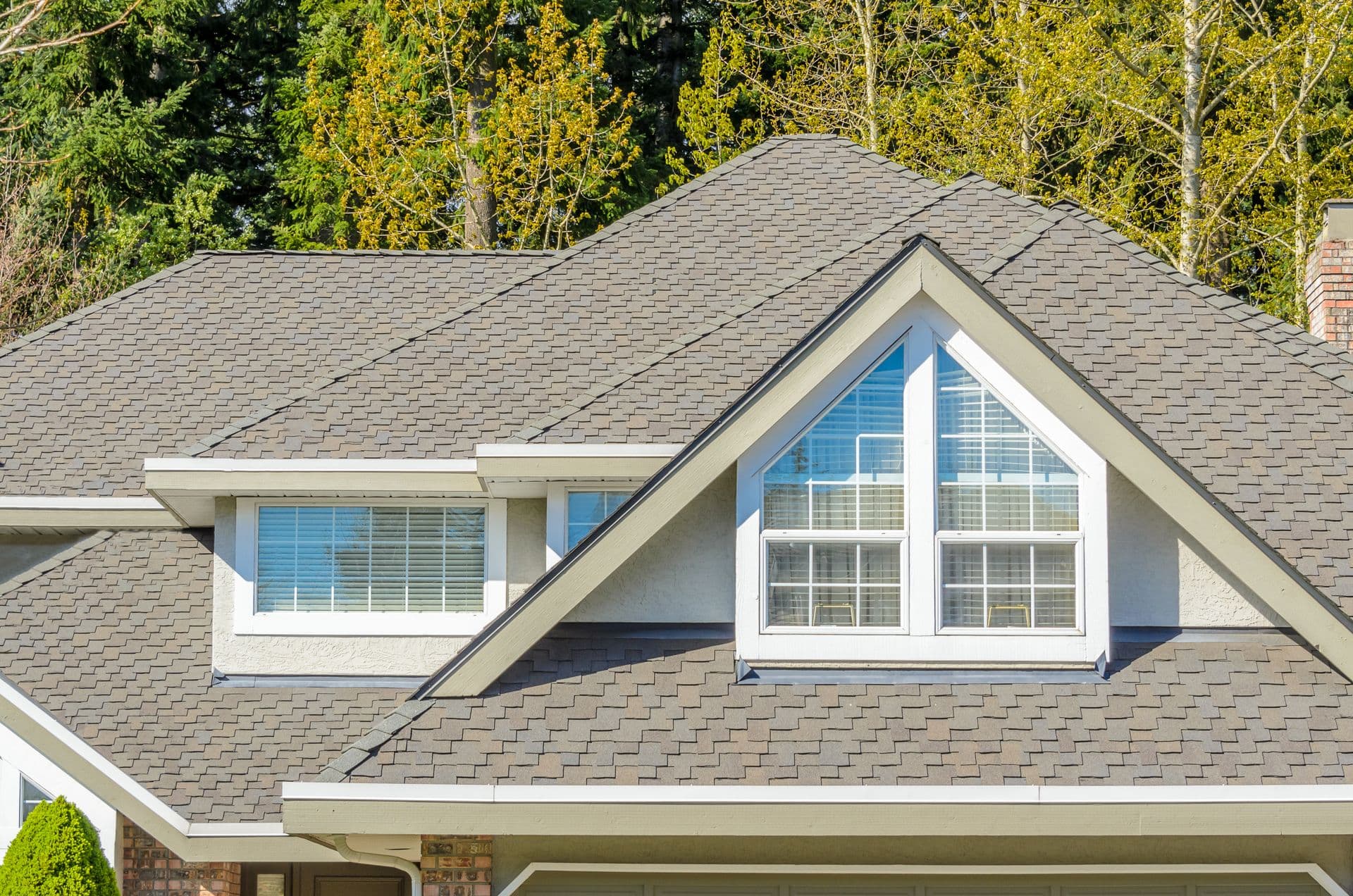 A modern house with a gray shingle roof features several dormer windows. Tall green trees surround the building, creating a serene atmosphere.